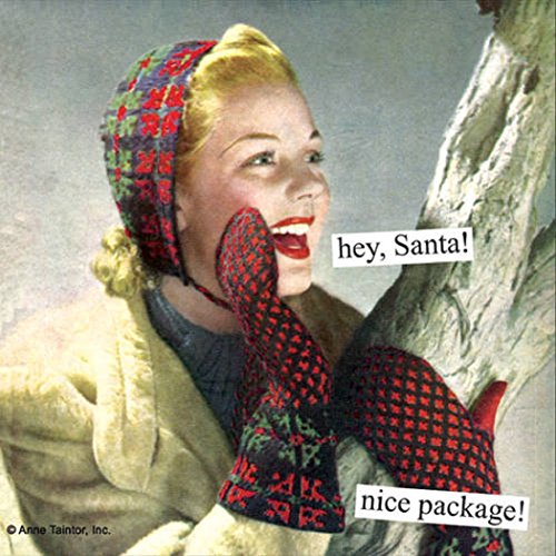 Anne Taintor 40 paper napkins holiday Christmas - Hey, Santa! nice package!