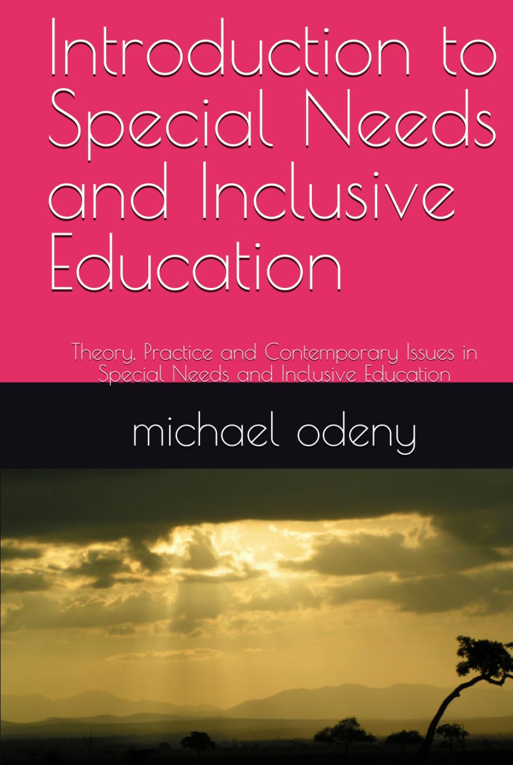 Introduction to Special Needs and Inclusive Education: Theory, Practice and Contemporary Issues in Special Needs and Inclusive Education