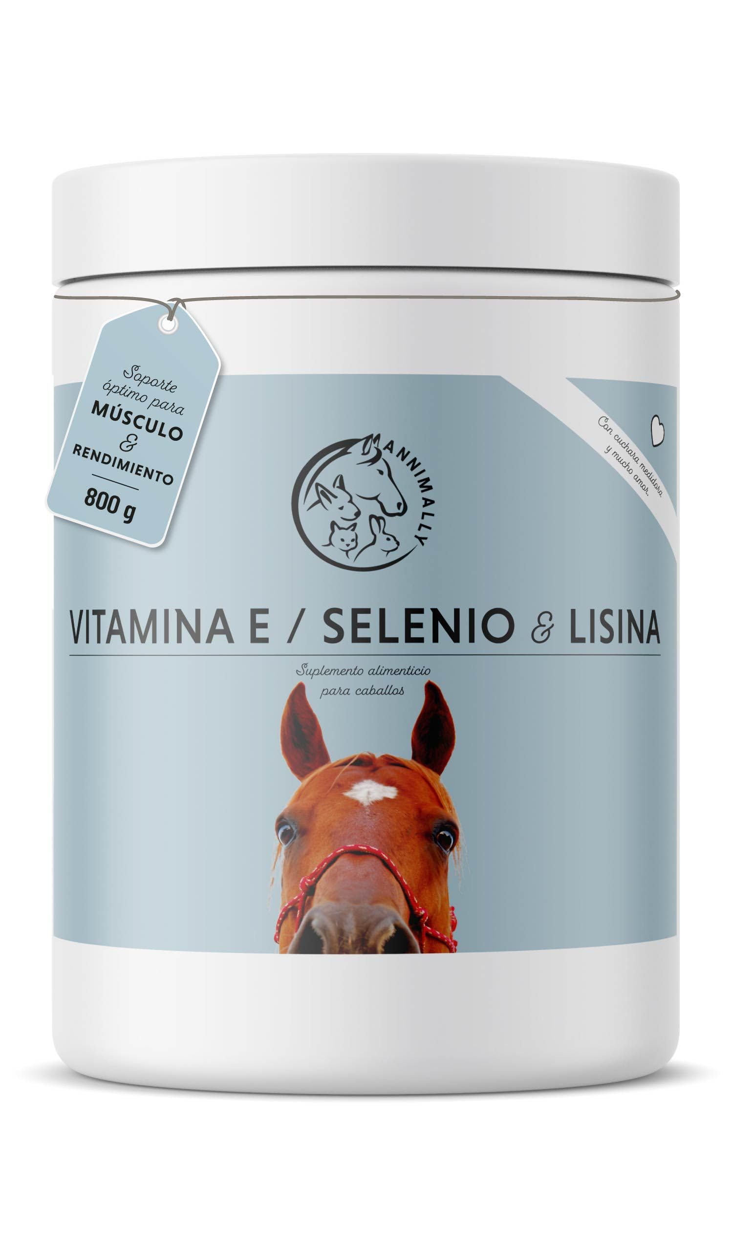Annimally Selenio, Vitamina E, L-Lisina en Polvo para Caballos 800g - Complejo de Vitamina E, L-Lisina y Selenio para apoyar la Musculatura y el Rendimiento - Suplemento alimenticio para Caballos