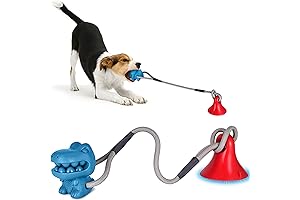 Suction Cup Dog Toys: The Irresistible Treat for Tireless Canines