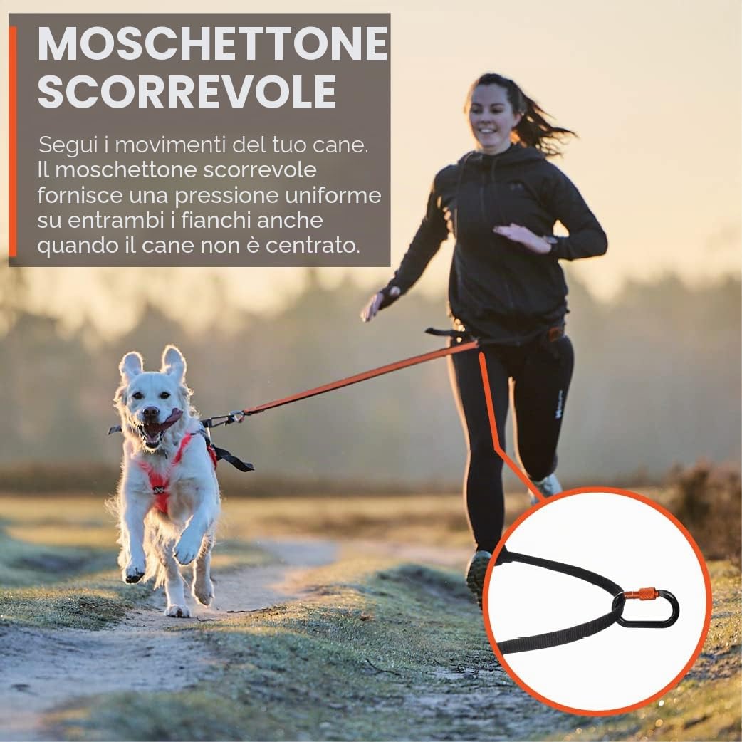 Non-stop dogwear Tenda CANIX, 123X, massima sicurezza, peso minimo, taglia: M