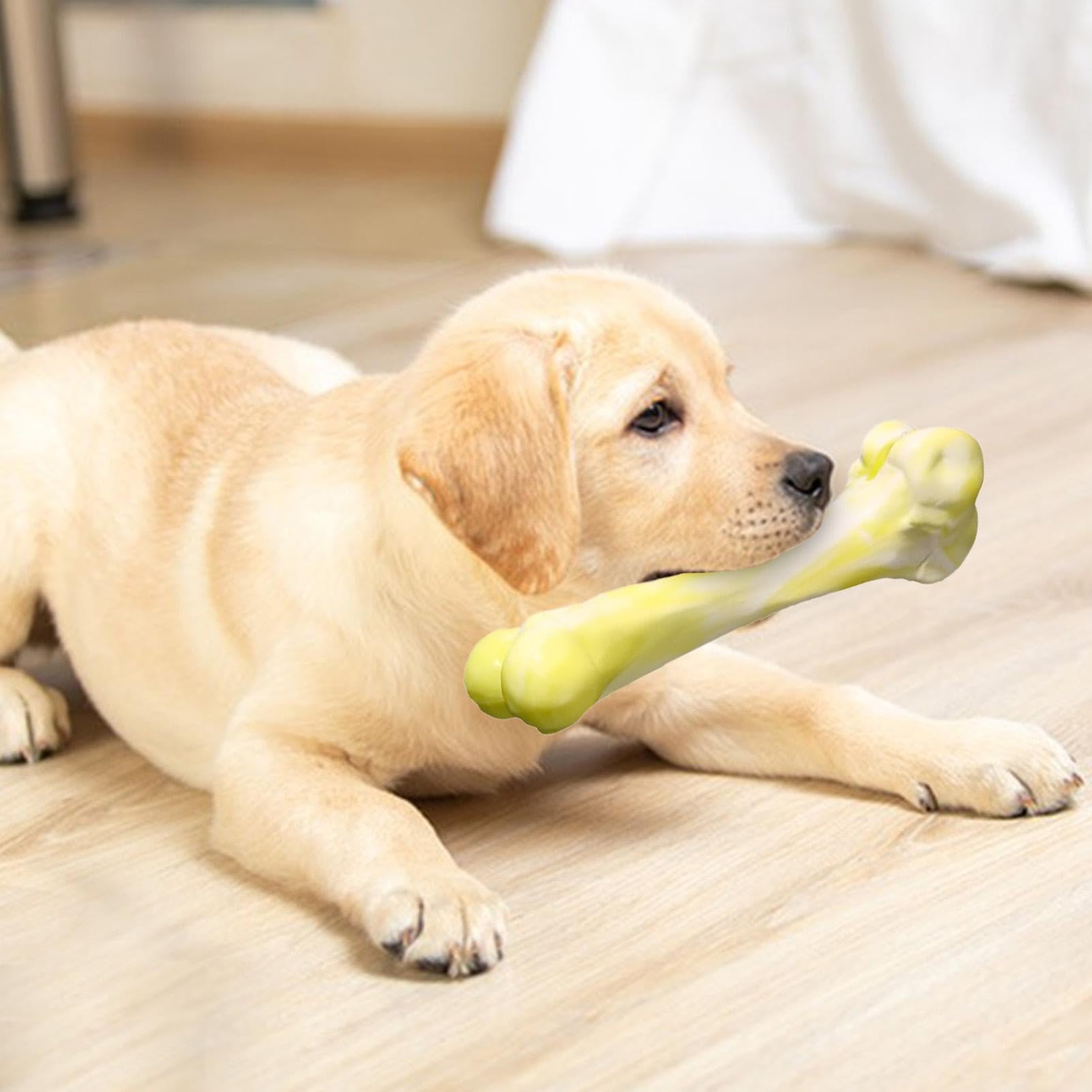 Amazon | Seechio 犬のおもちゃの骨、犬の噛む骨のおもちゃ - 犬の骨の