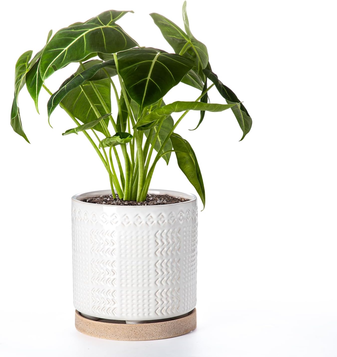 Indoor-Outdoor Ceramic Plant Pots: 8 Inch Flower Pots with Drainage Hole & Saucer - Decorative Ceramic Pots for Plants Herbs Succulents - Home Garden Patio Lawn Use