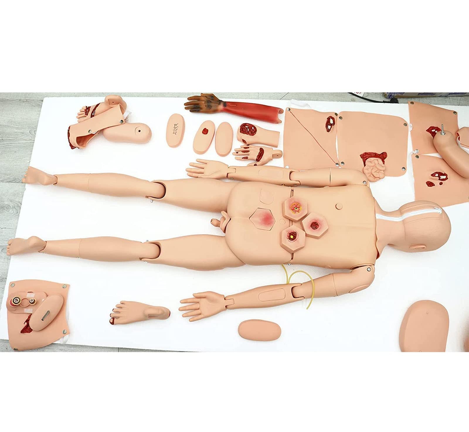 Wielofunkcyjny manekin treningowy do opieki nad pacjentem 24 moduły ran Anatomiczny model człowieka Zaawansowany manekin do treningu urazowego Model demonstracyjny Manekin dla mężczyzn i kobiet Model