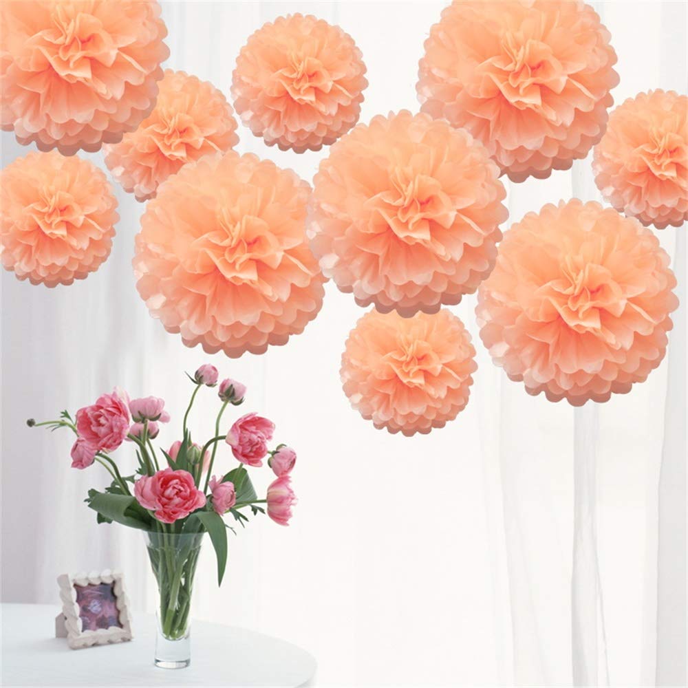 Time to Sparkle 10 Pack Mixed Tissue Paper Pompoms Pom Poms Flower Wedding Party Decoration (Light Peach, 10pcs Medium(6"+8"+10"))