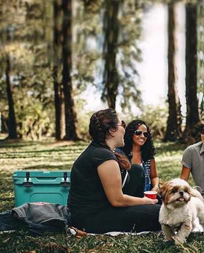 Miniatura 7 de ALIENSX Pestillos de tapa de repuesto universales para enfriadores Yeti Tundra y Roadie, diseño de cierre en T de goma duradero, ayuda a ahorrar