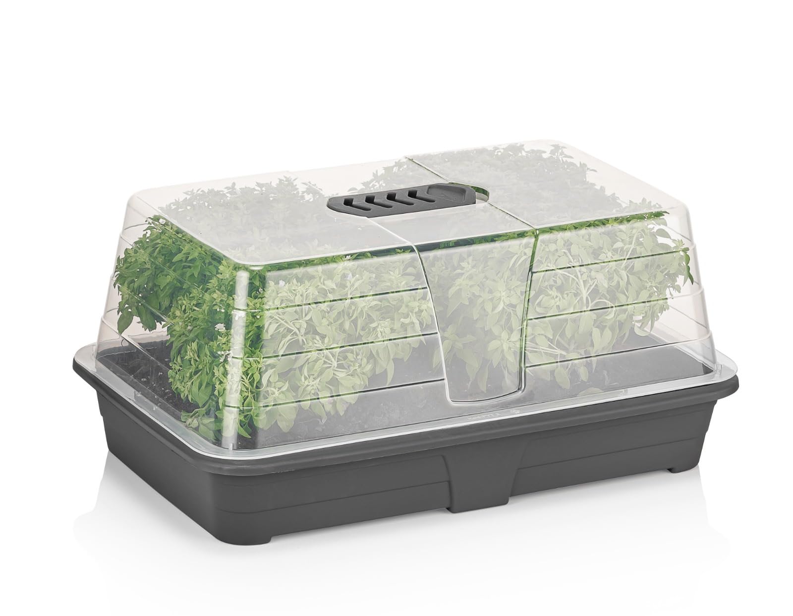 Tamersgifts Vented Propagator Tray Set With Lid & Solid Gravel Tray (No Drainage Holes)