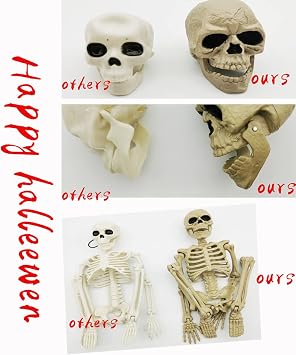 e Crafty 16 Halloween Skeleton,Full Body Skeleton with Posable Movable Joints for Haunted House Props Decorations