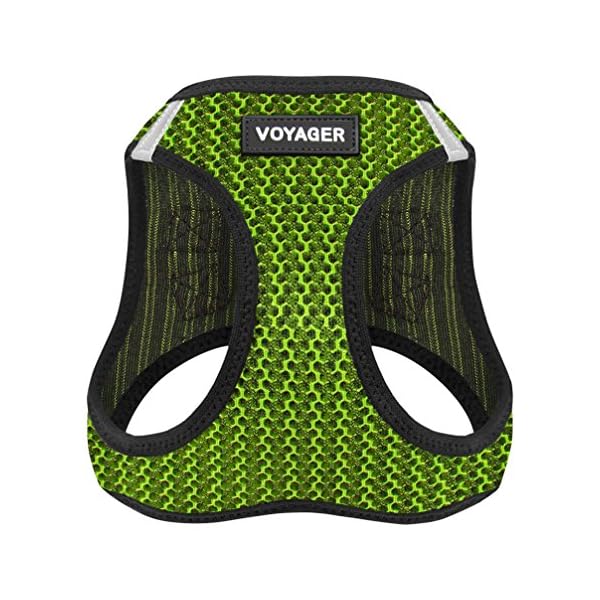 Voyager Step-in Air Dog Harness – All Weather Mesh Step in Vest Harness for Small and Medium Dogs by Best Pet Supplies – Harness (Lime Green 2-Tone), Medium Voyager Step-in Air Dog Harness – All Weather Mesh Step in Vest Harness for Small and Medium Dogs by Best Pet Supplies – Harness (Lime Green 2-Tone), Medium