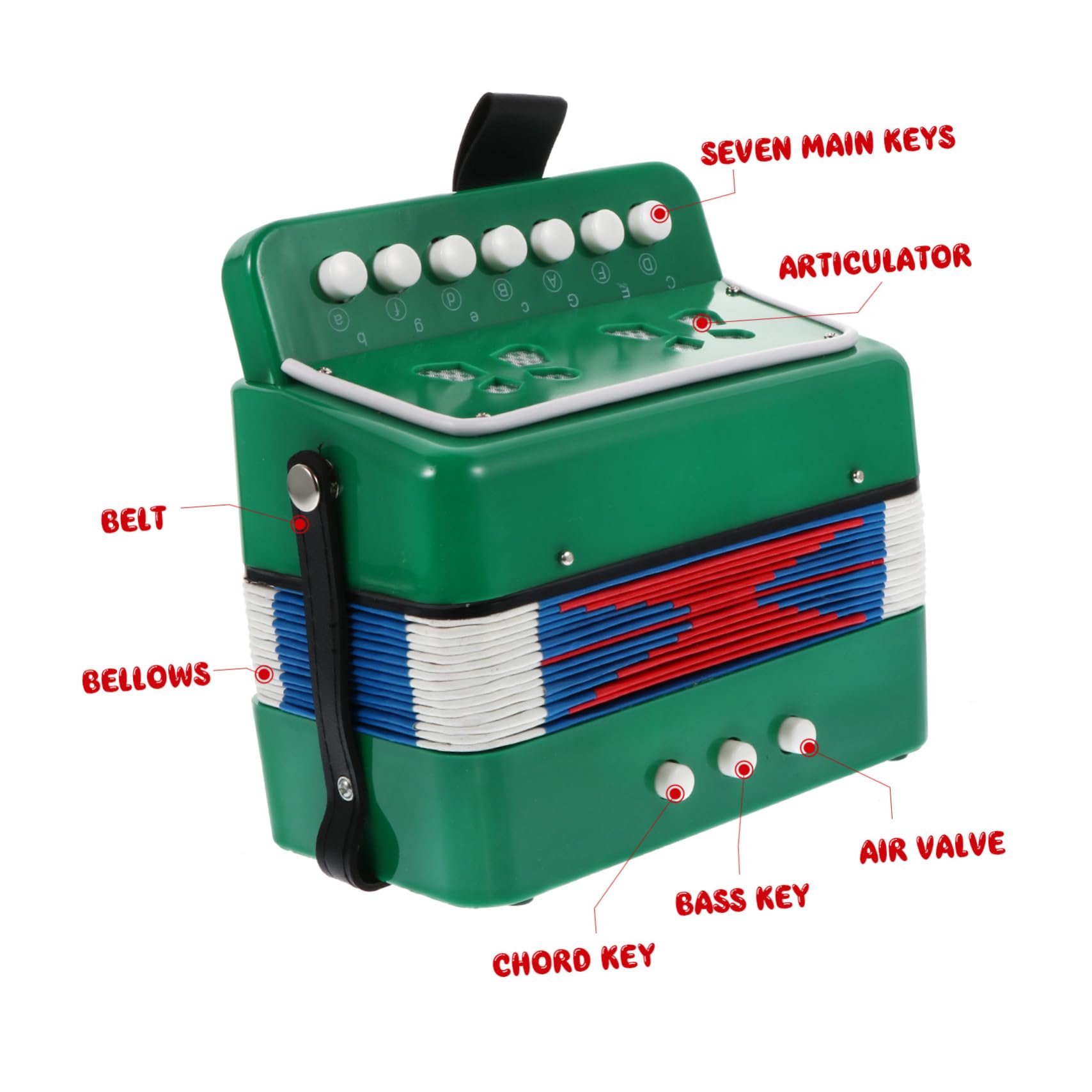 Fisarmonica per Tasti Verde Giocattolo Musicale Educativo per Ragazzi e Ragazze Strumento Introduttivo per Principianti con Design Accattivante e Facile da Suonare
