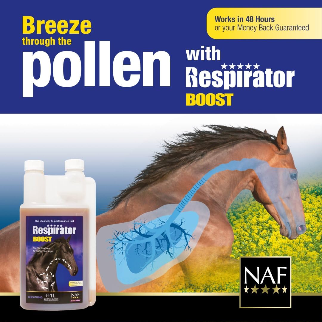 NAF Respirator Boost Flüssigkeit 1 l – Schnell wirkendes Ergänzungsfutter zur Unterstützung der Atmung bei Pferden | Unterstützt Atemwege, Lungenfunktion & Atemwegsgesundheit