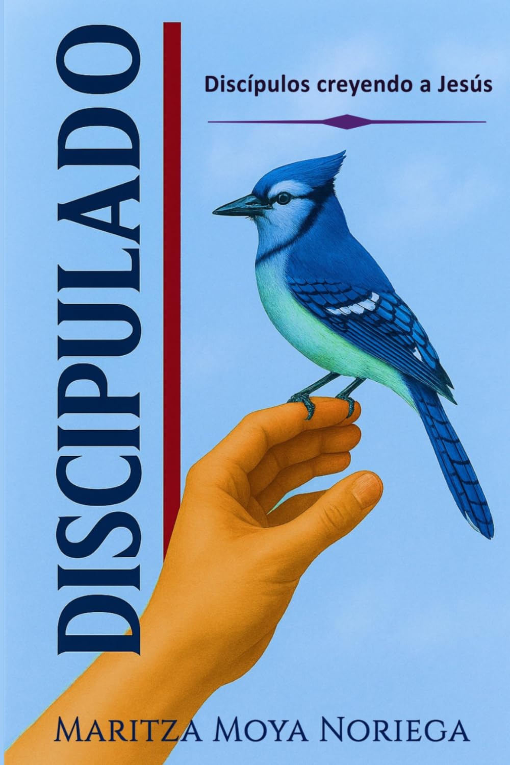 Discipulado: Discípulos creyendo a Jesús
