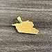 Heavstjer Fashion Stainless Steel Syrian Arab Republic Map Pendant Syria Flag Necklace(Gold)