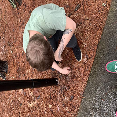 Amazon.co.jp: Kick Me Out/17 [Explicit] : Clayco: Digital Music