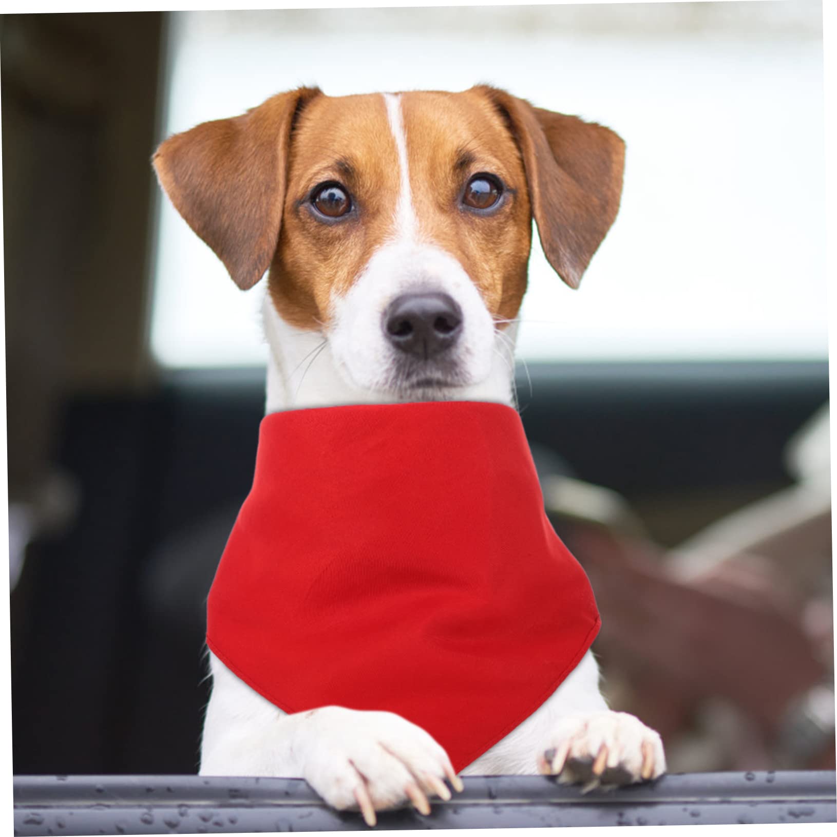 POPETPOP Hundeschal 16 Stück Haustier-Hunde-Lätzchen Welpen- Bunte Welpen- Bunter Schal -Bandanas -Sabber-Lätzchen -Kopftuch-Zubehör Große Bandanas