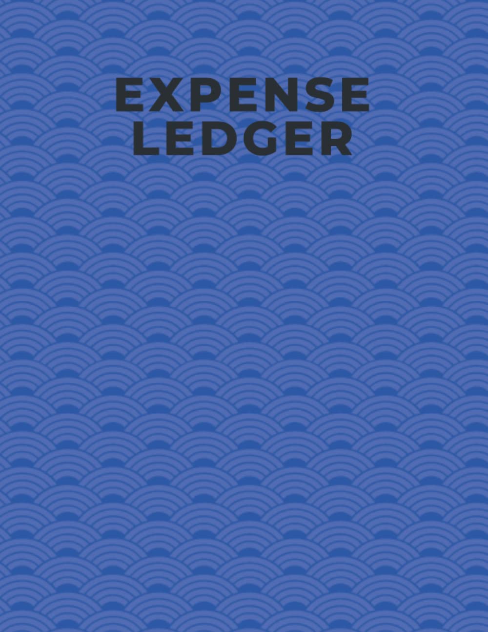 Expense Ledger: Weekly and Monthly Spending Tracker for Small Businesses