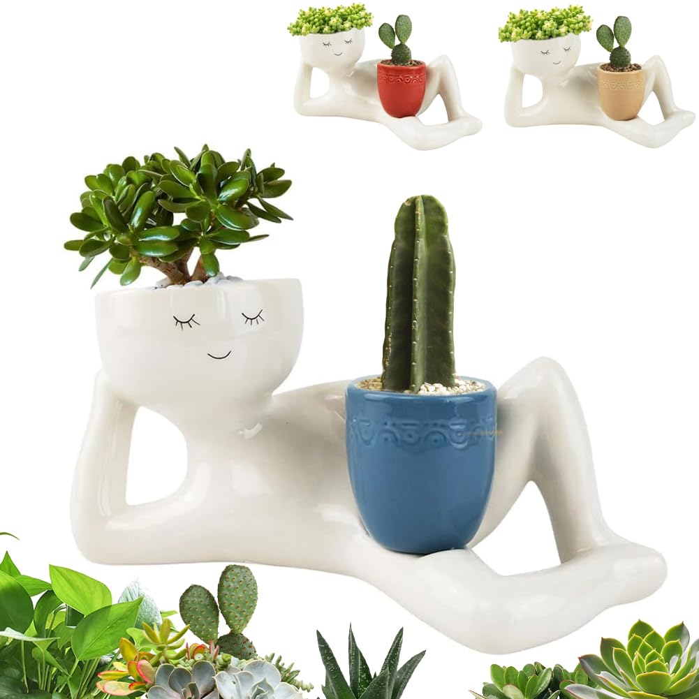 lucky bamboo Dracaena