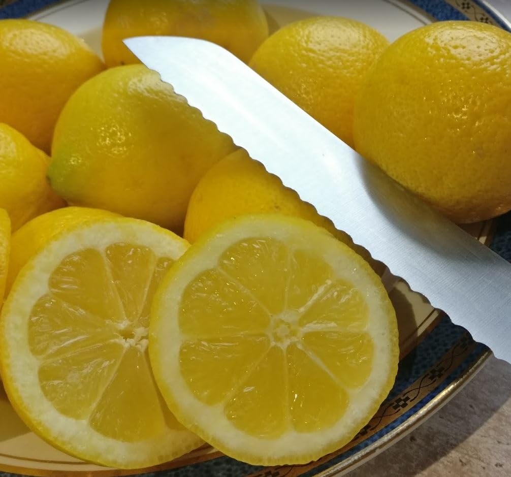 Plant World Seeds - Lemon Fruit (Citrus Limon) Seeds (Exotic Fruit Seeds)