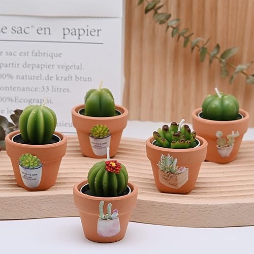 Miniatura 4 de 18 piezas de decoración de fiesta de cactus, regalos de fiesta bohemia, velas suculentas a granel para baby shower, regalos de agradecimiento, velas