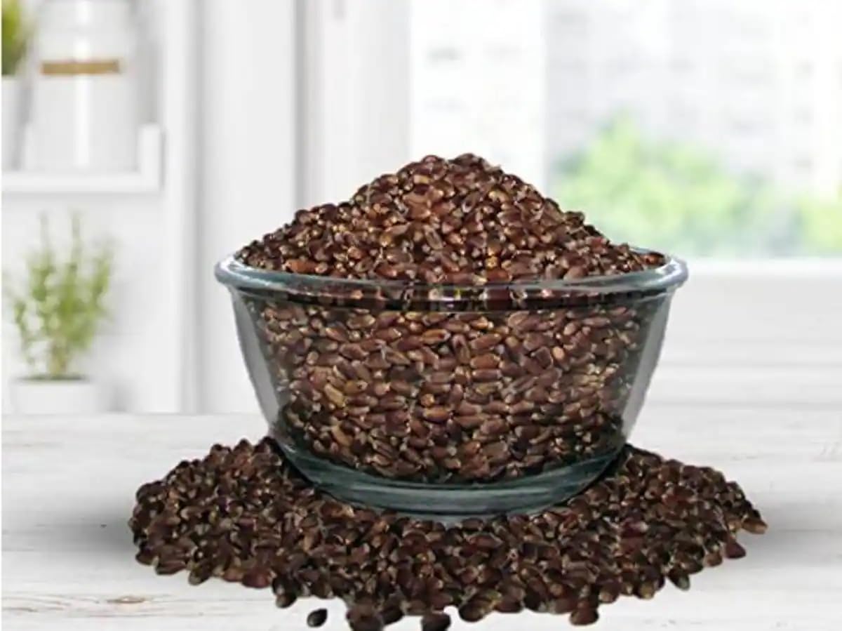 See full amazon price history chart for Veganic Black Wheat | Whole Wheat Grain | Kala Gehu | Kaale Gehoo Ke Dane | Gluten Free | Keto Friendly Diet (400) Veganic Black Wheat | Whole Wheat Grain | Kala Gehu | Kaale Gehoo Ke Dane | Gluten Free | Keto Friendly Diet (400) (B0D227PPXJ) Amazon Price History, Amazon Price Tracker
