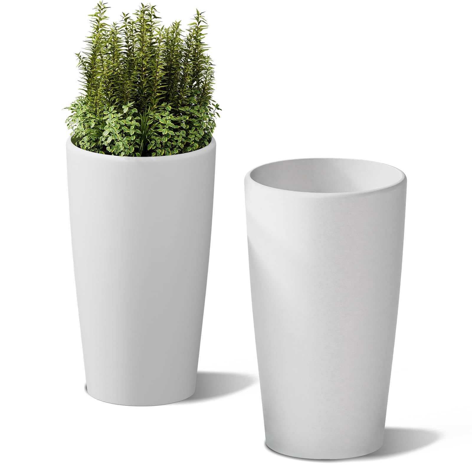 palm plants indoor Large Majesty Palm Houseplant with Planter - Large (3-4' tall) Sand Planter