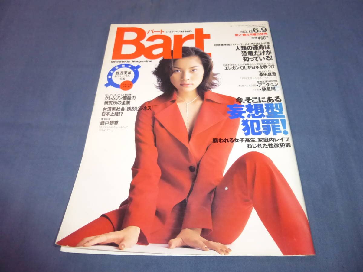 瀬戸朝香(1冊200円計算)96冊分272ページ切り抜きしファイリング 瀬戸朝香(1冊200円計算)96冊分272ページ切り抜きしファイリング