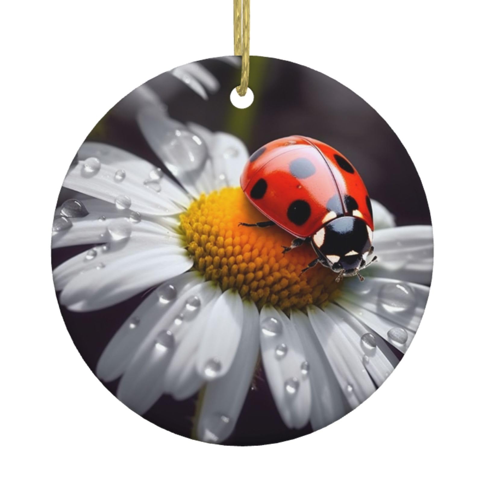 Fodpand Women's White Ladybug On Daisy Flower Christmas Ornaments 2025, Gift Exchange For Men, Collectible Ceramic Ornament Round Hanging Ornaments For Christmas Tree Decoration