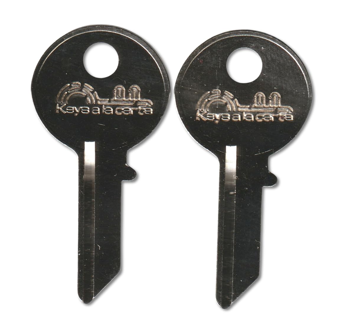 2X10 Pair (2) Replacement Keys – Cut to Code on CG17 Blank for