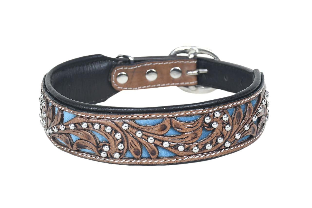 Dog Collar XL 17-23 Inches