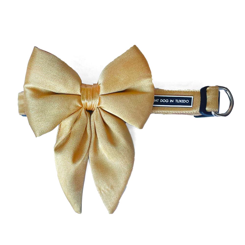 That Dog In Tuxedo Festive Wedding Ethinc Dog Bow Tie with Adjustable Dog Collar - Gulnaaz (Gold, Size M-L) (B079BXMKX7) Amazon Price History, Amazon Price Tracker