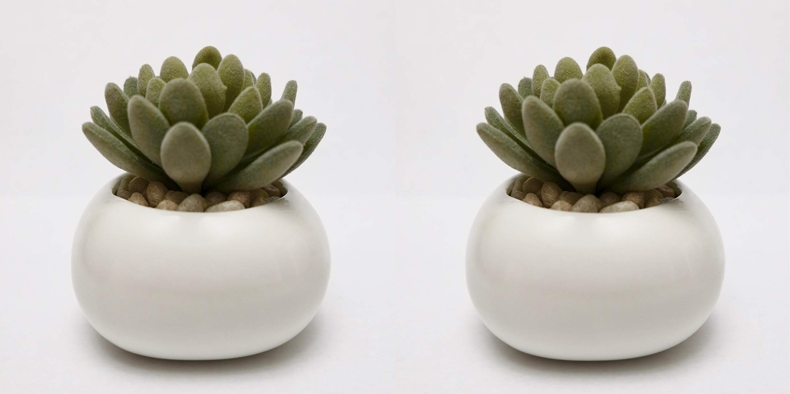 2 Pack Small bun shape succulent planter. Cute minimalist succulent pot. For live or artificial plants, succulents, cacti. Interior decor home, office, wedding. Ceramic porcelain modern zen design.