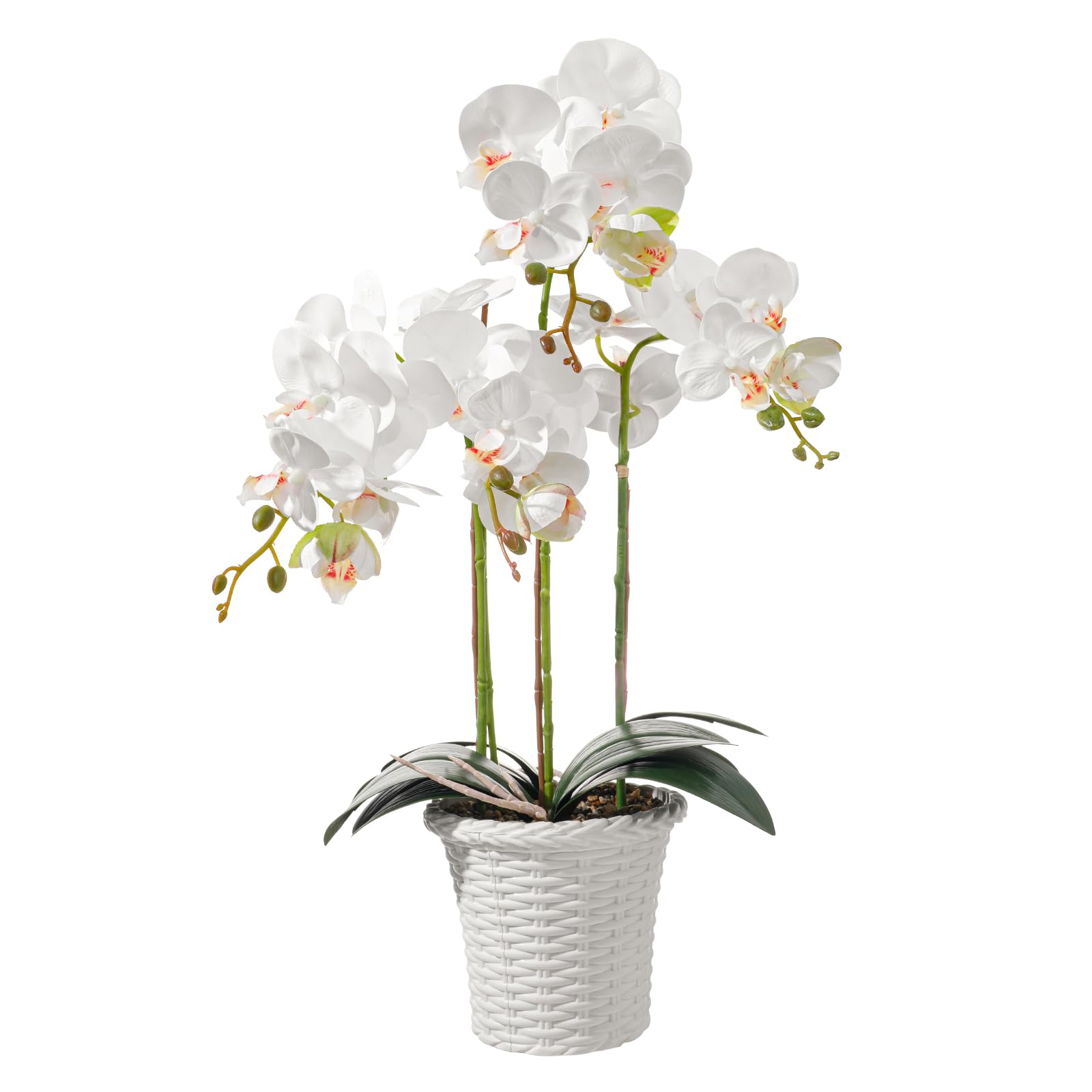 dallisten 22'' Realistic Artificial Orchid Flowers in Pots, Fake Orchid White Silk Phalaenopsis Plants for Home Decor, Wedding Centerpiece, Office & Bedroom Decoration