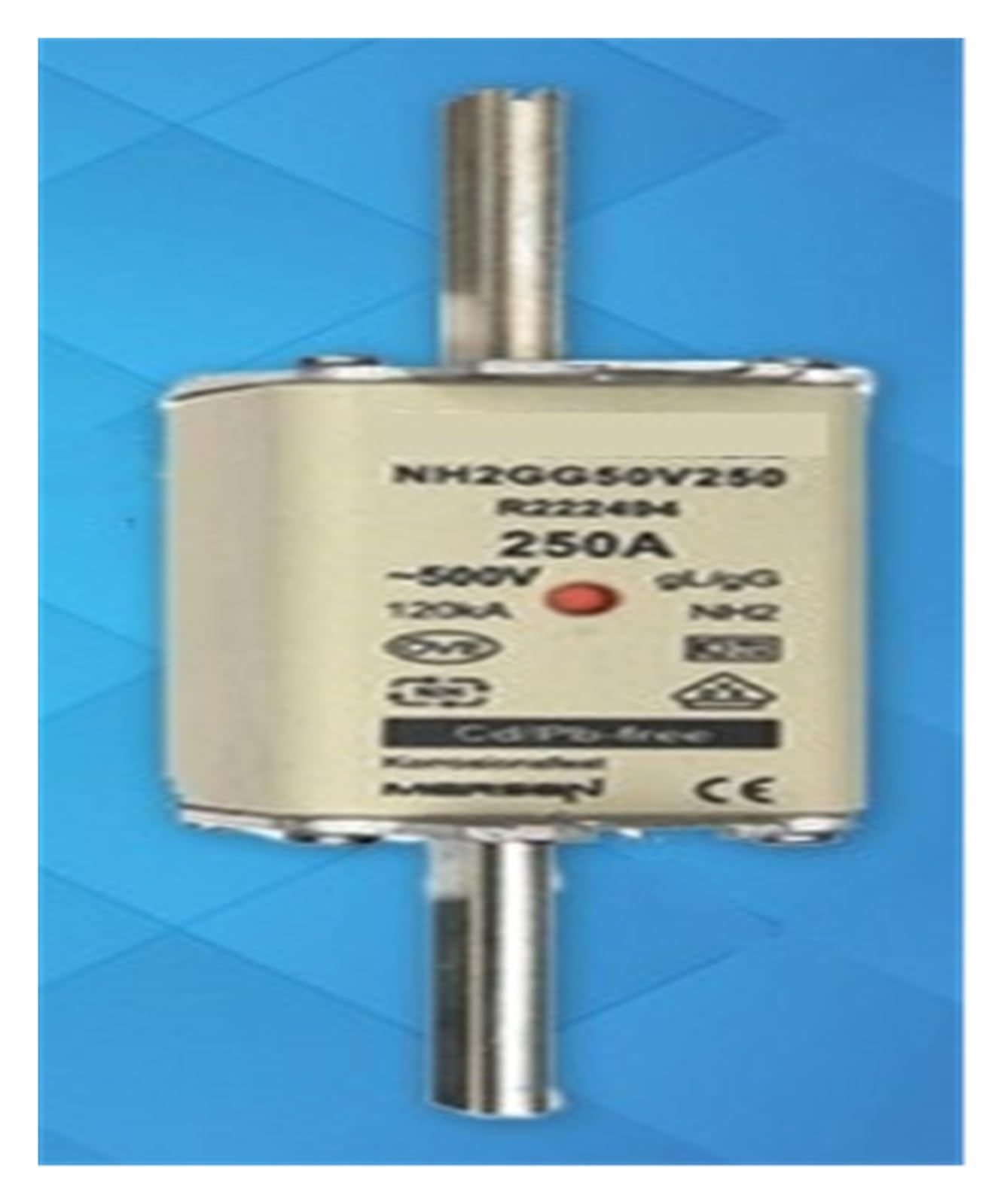 Fusibles NH2GG50V250 R222494 pour la protection générale des installations industrielles