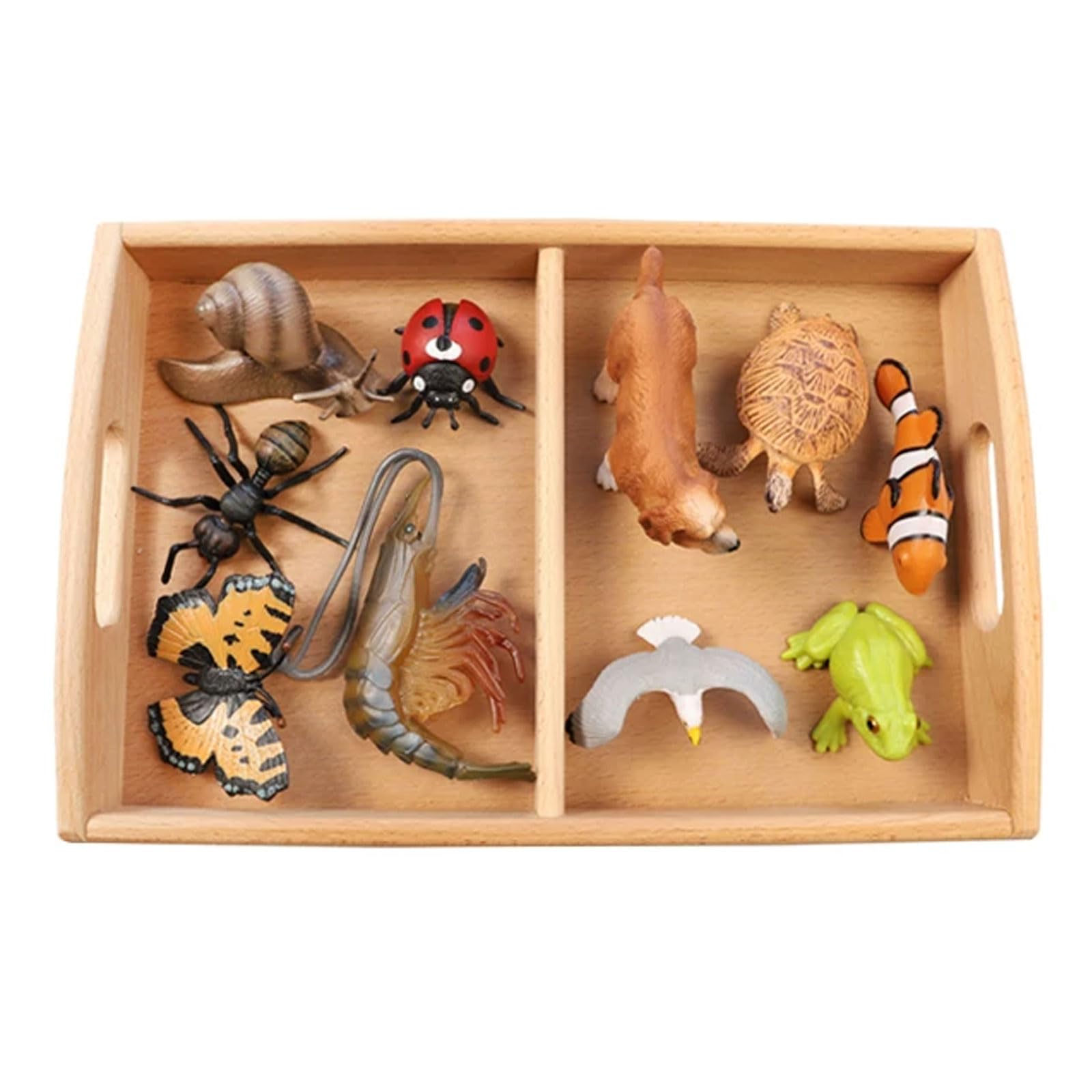 Zestaw Montessori Zoologii Klasyfikacji Zwierząt