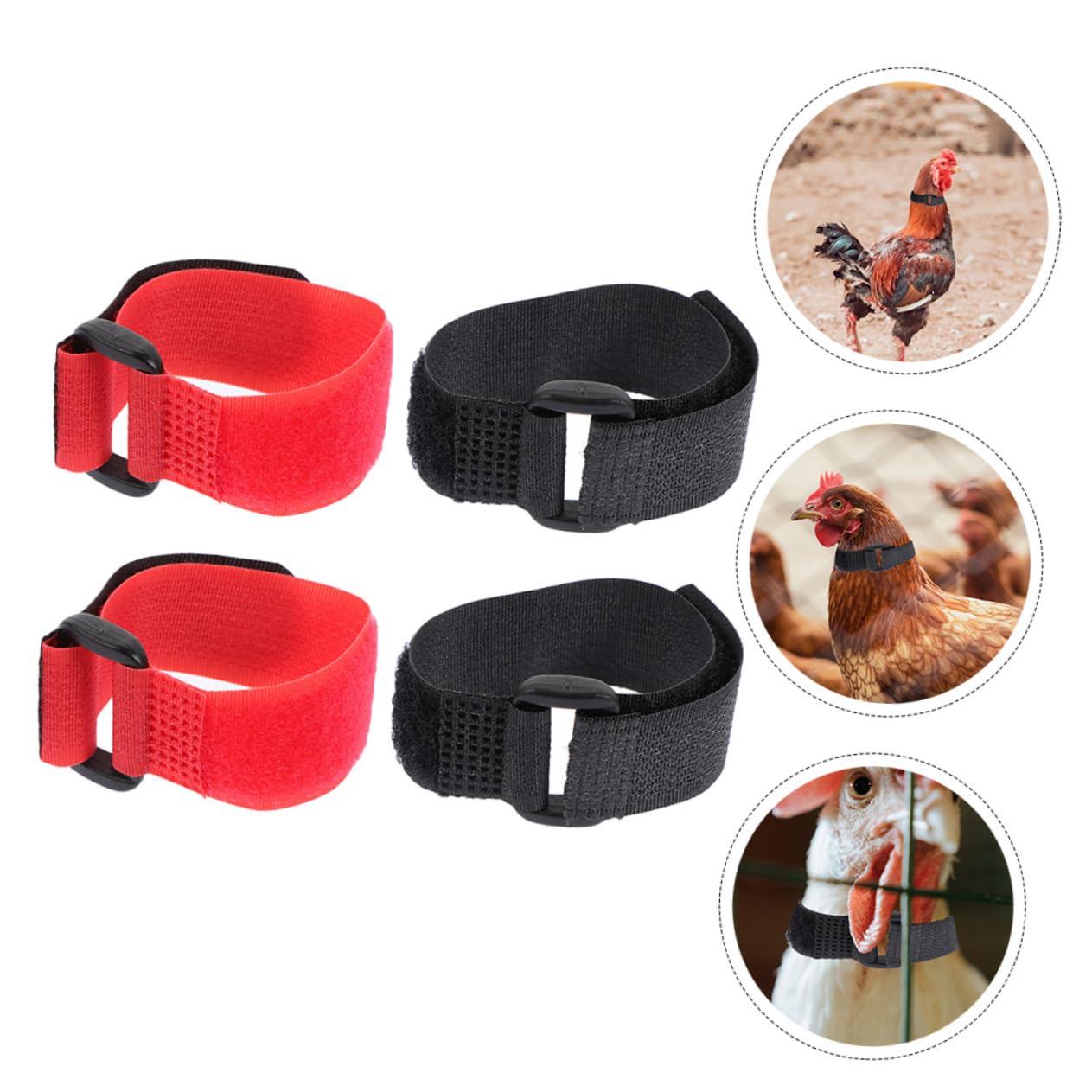 BESPORTBLE Rooster Neck Ring -Crowing Collar Pet Chicken Accessory Poultry Collar Noiseless Design