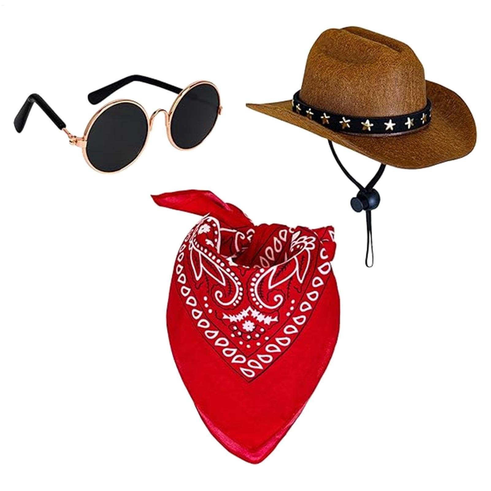 Vêtements oie de jardin cowboy ensemble western pour statue extérieure amusante
