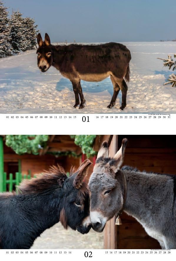 Tierzauber Jagd & Forst DIN A3 Immerwährender Kalender - Seelenzauber Tierzauber Jagd & Forst DIN A3 Immerwährender Kalender - Seelenzauber