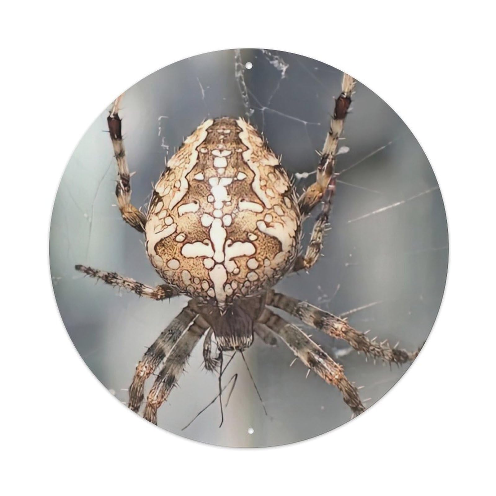 Insect Orb Weaver Spider Vintage Metal Tin Sign Plaque Wall Decor for Cafe, Club Bar, Office, Garden Metal Poster 8x8Inch