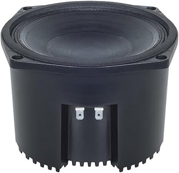 B&C Speakers 6NSM51-8 LF Drivers 6-inch ND Sealed Mid Midranges 8-Ohm 250 Watt RMS / 500 Watt Max Pro Audio Component Speaker Driver for Motorcycle Car