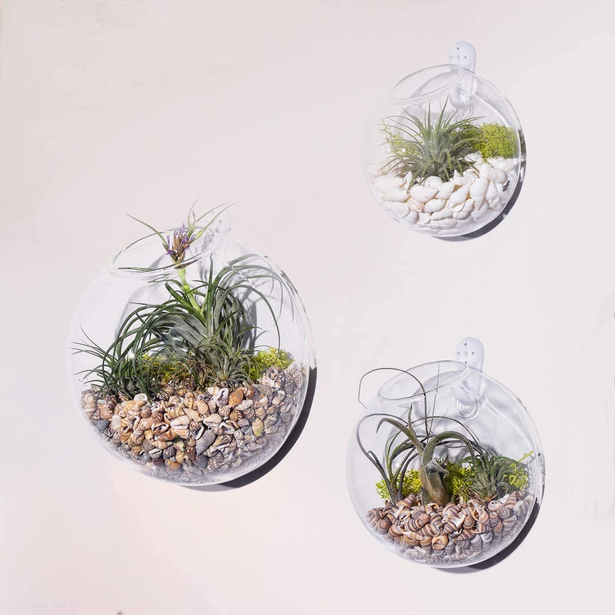 Confezione/appeso Semaforo vaso vetro borosilicato terrario Piante fiori sukkulente Container 9,3 * 12 cm/3,7 * 4,7 inch haengedeko hochze itdeko appendere e riempimento