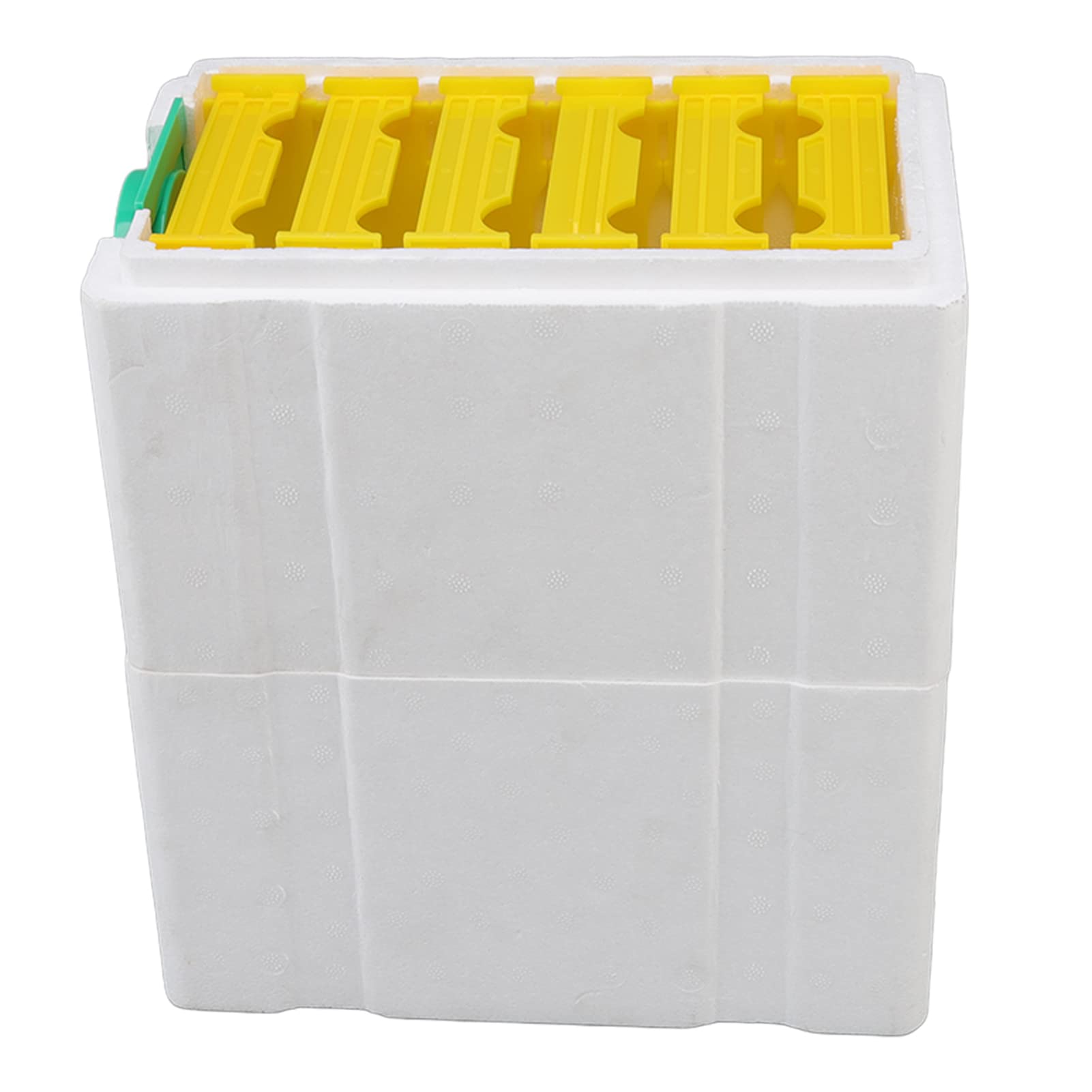 Boîte d'élevage d'abeilles à Double Couche, Cadre en Mousse, Outil apicole, matériel d'apiculture