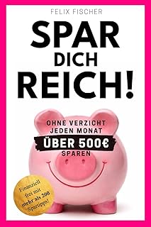 SPAR DICH REICH!: Ohne Verzicht jeden Monat über 500 € sparen