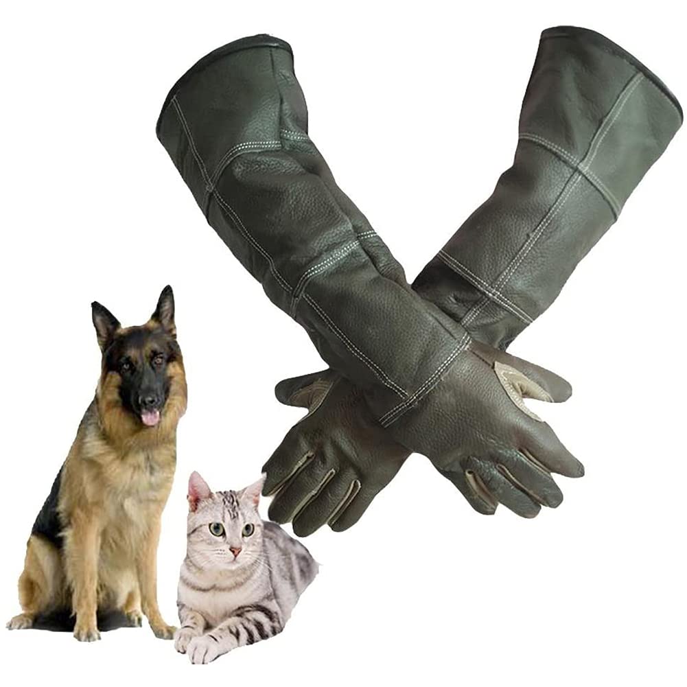 Buy DAN Animal Handling Gloves For Cat Dog Bird Snake Parrot Lizard