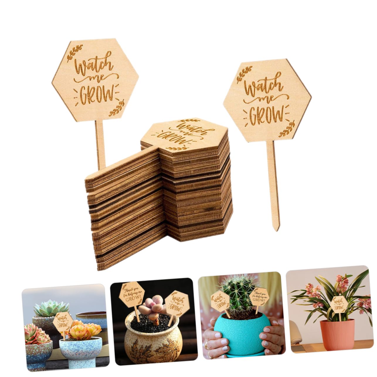 Toddmomy 5 Set Etichetta in Legno Giardino Sostegni Per Piante Da Esterno Pentola Etichette Per Piante Etichette Di Giardinaggio Targhetta Etichetta Piante Di Legno 40 Pezzi*5