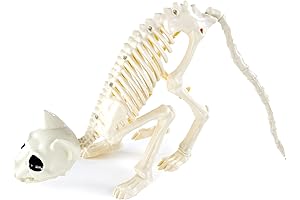 Animal Skeleton Figurine - Halloween Spooky Bone Decor - Cat Skeleton