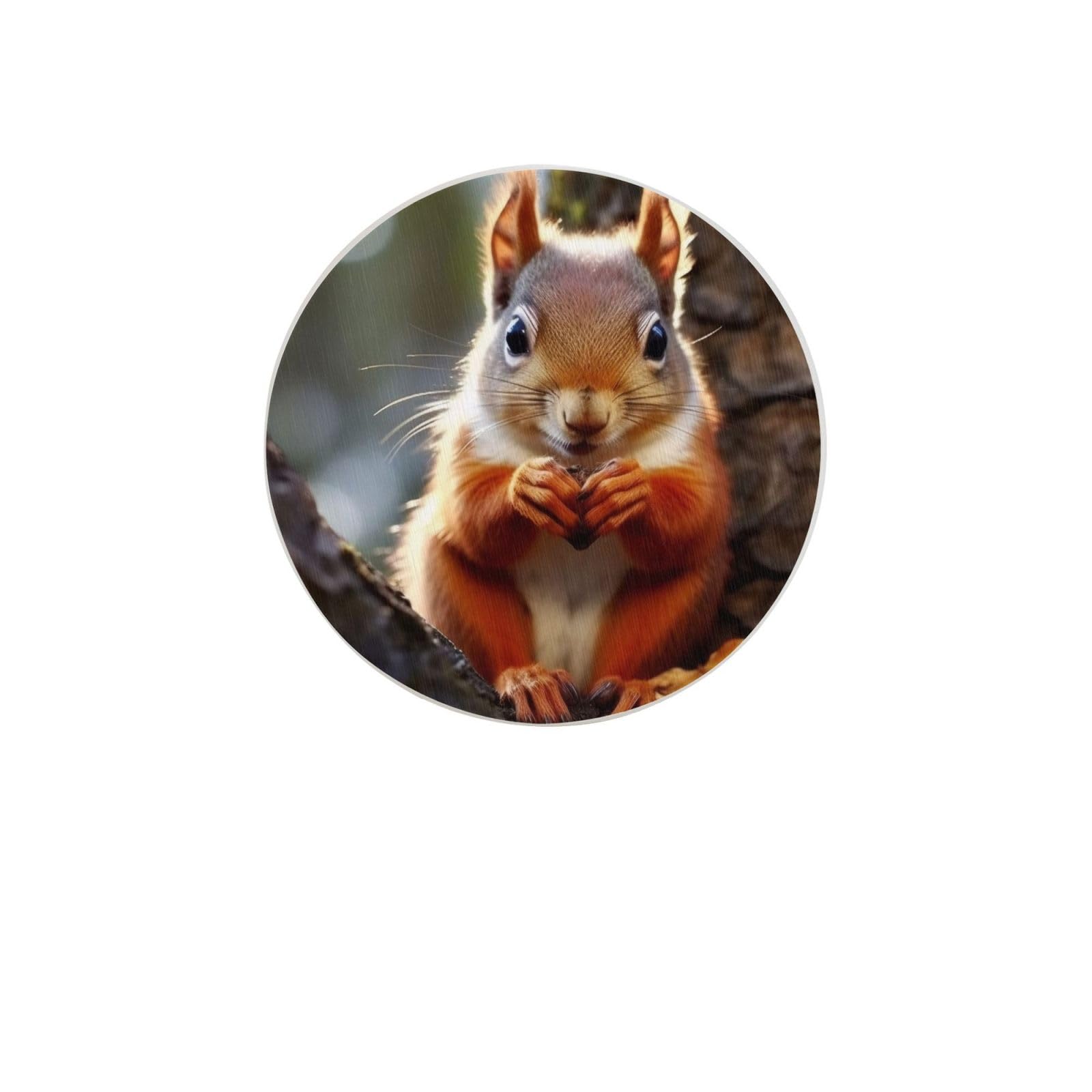 Funny Squirrel Absorbent Drink Coasters Diatomaceous Round Coaster 4 Inch Reusable Cup Coasters Set 4pc