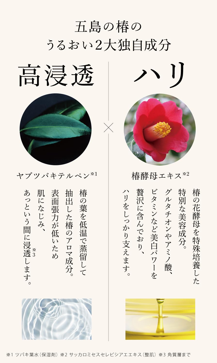 Amazon | 五島の椿 椿の葉 保湿水 150ml ×3セット 化粧水 椿酵母エキス