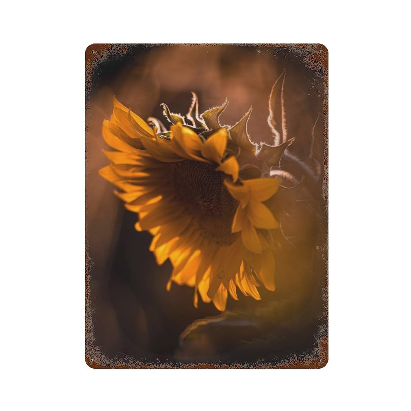 Sunflower Ghost Rusty Metal Tin Sign 15.7"x11.8", Ideal for Patio, Garden Room And Bar Decor