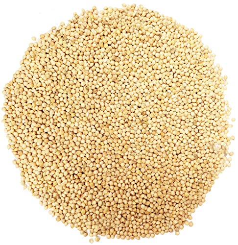 Backyard Seeds White Millet Bird Seed For Finches 8 Pounds (8 Pounds) #TOP2