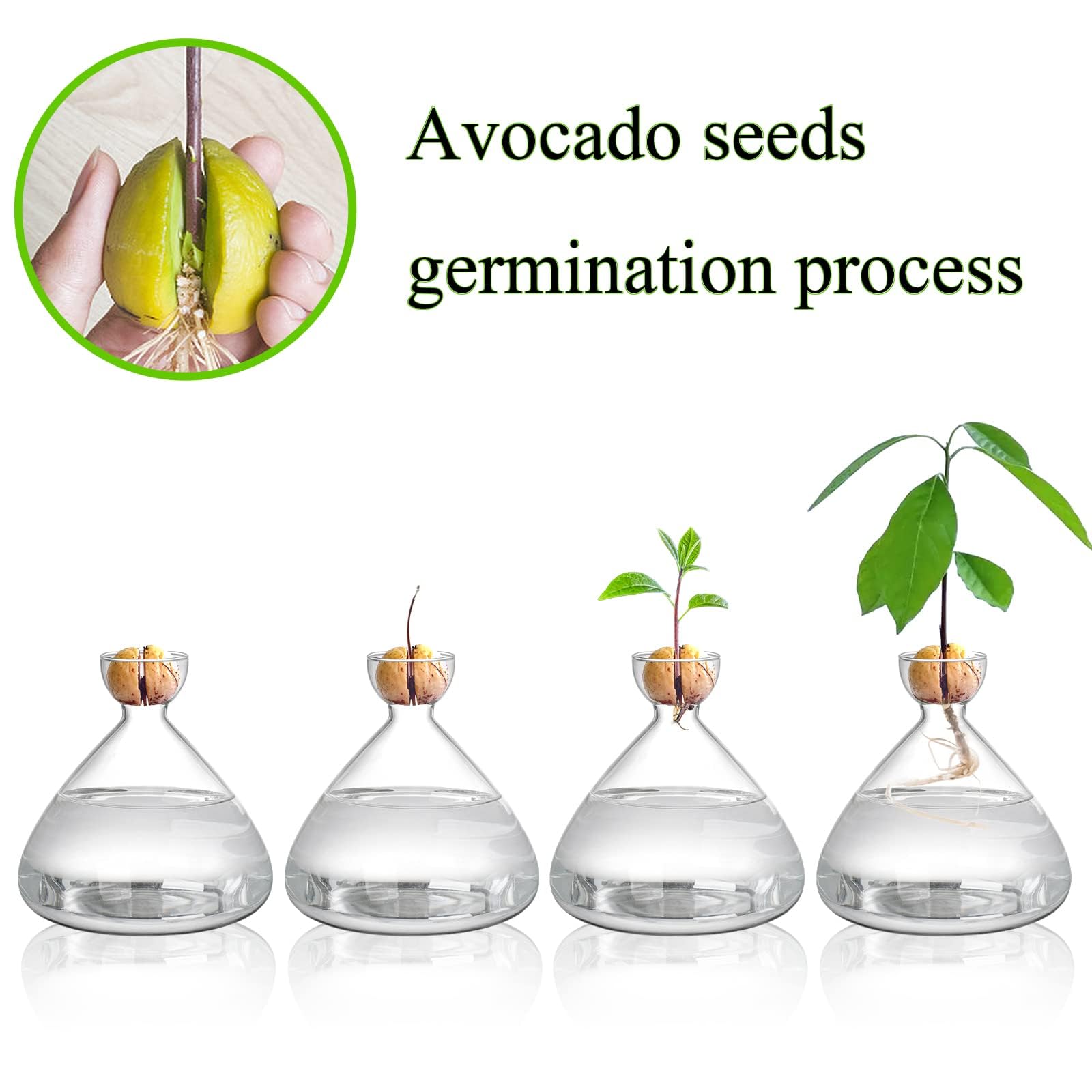 【アボカド】火鉢 アボカド様専用】火鉢